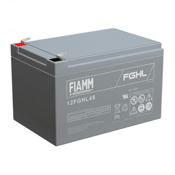 Аккумулятор FIAMM 12FGHL48 5507